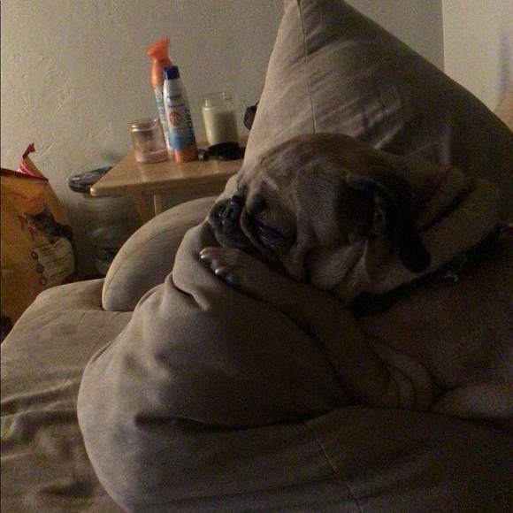 Meet your Posher, Juliette - Picture 4 of 4